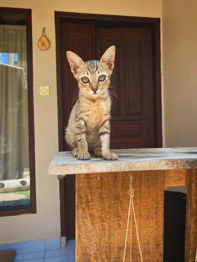 Jimador'S Homestay Gili Trawangan Exterior photo